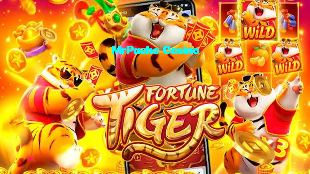 available types of MrPacho Casino bet including pre-match live express and system bets